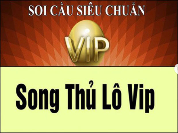 Khái niệm song thủ lô VIP